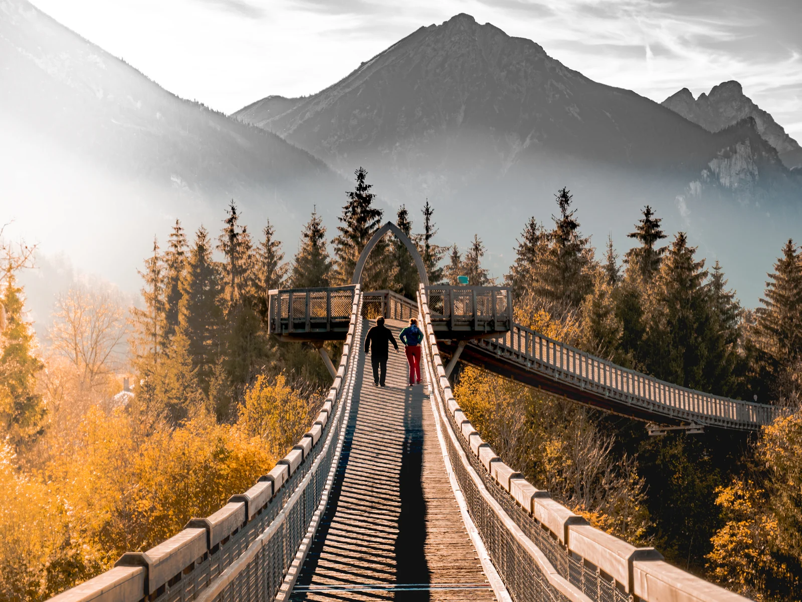 Besucher auf dem Baumkronenweg
