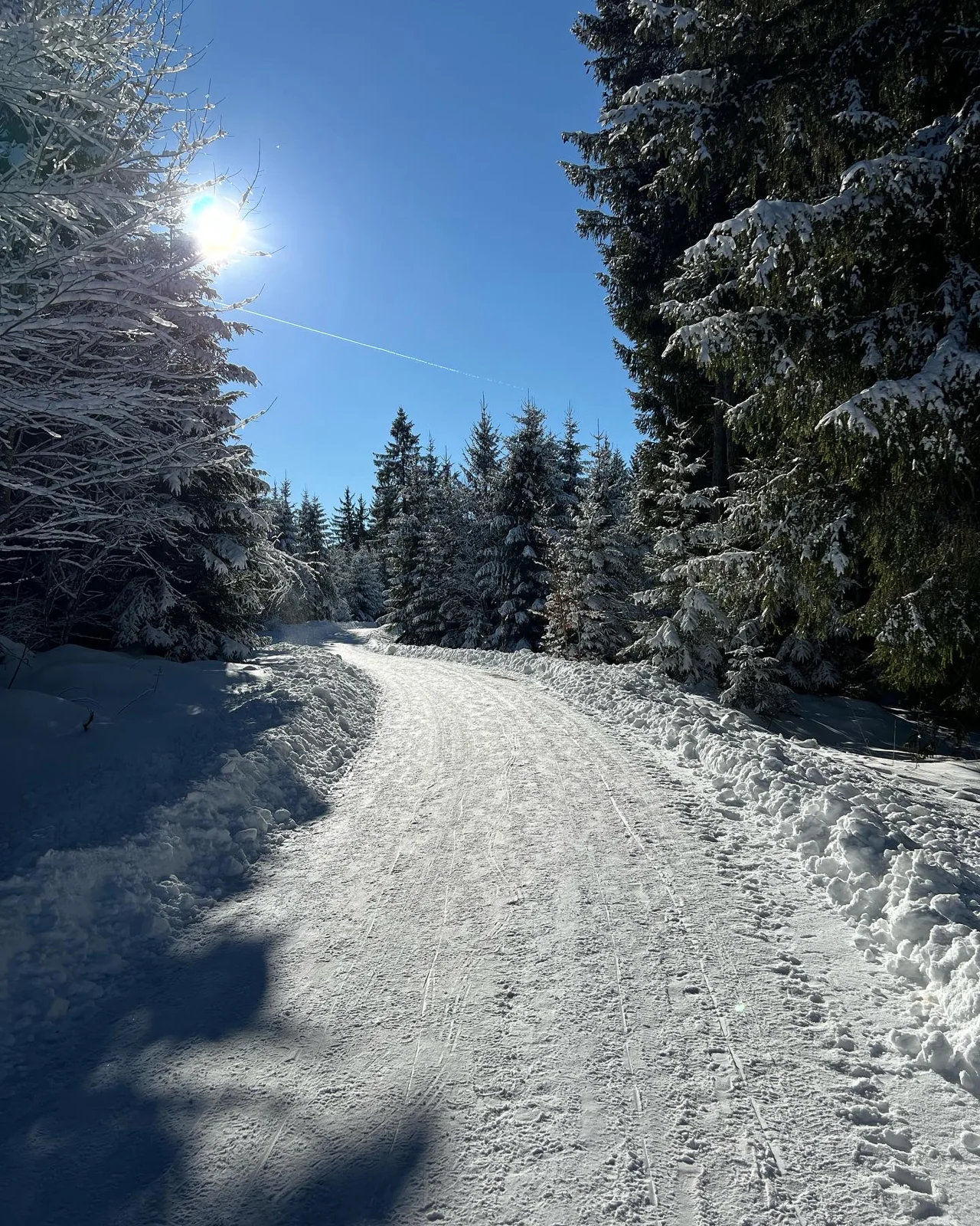 Buchenberg Rodeln