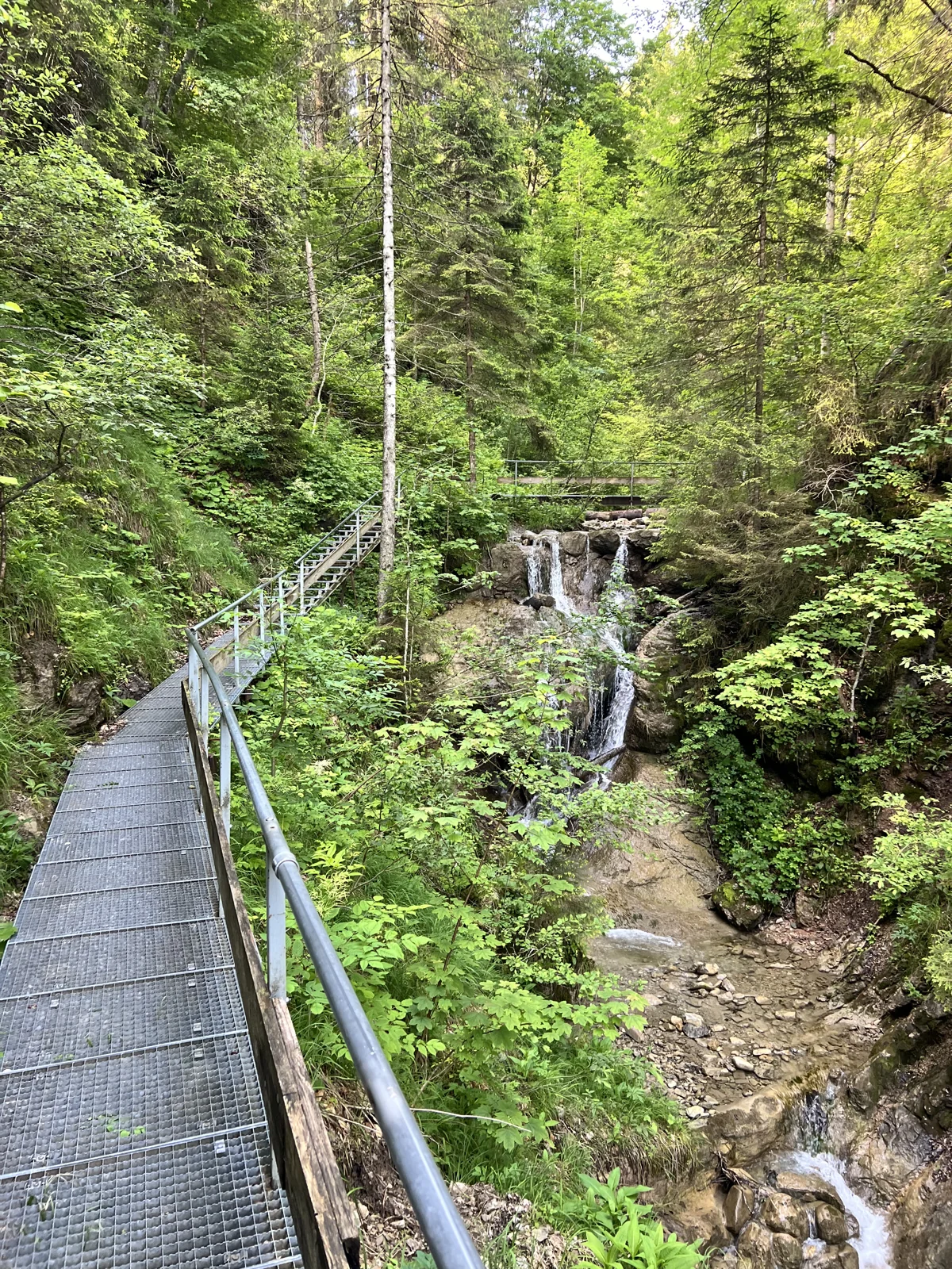 Pasarela de madera a lo largo del camino de la cascada.