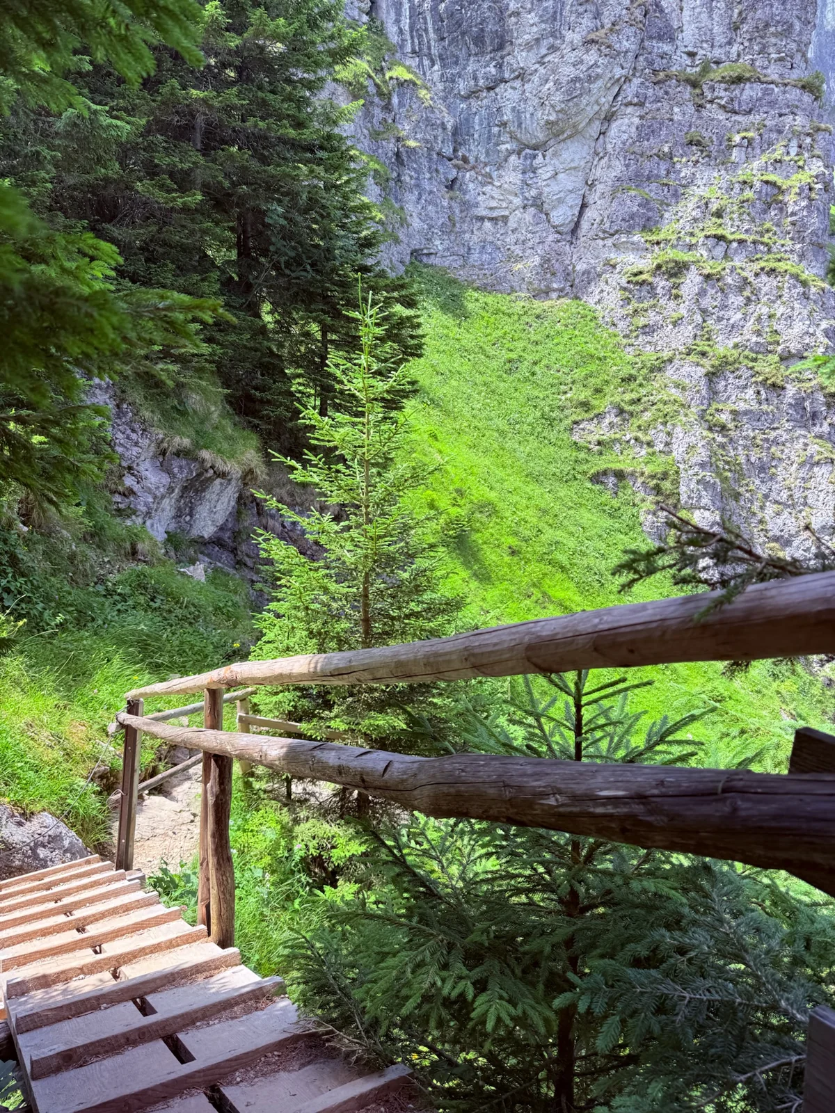 Pasarela de madera en Reichenbachklamm cerca de Pfronten