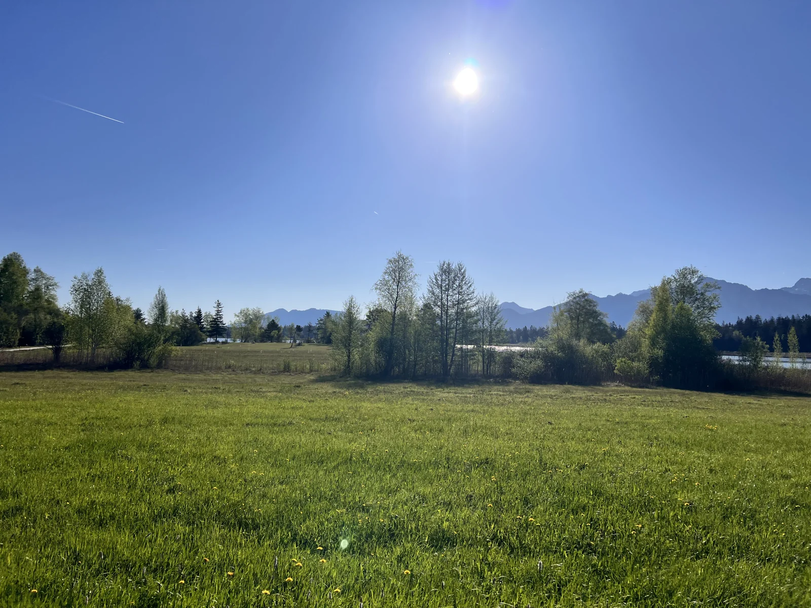 Schwansee