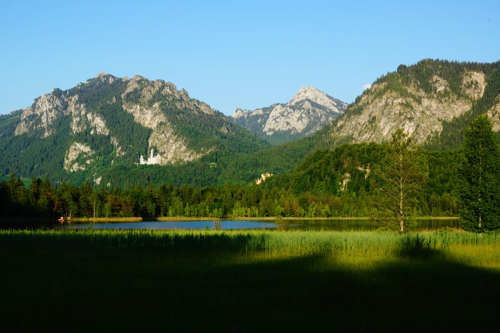 Schwansee vor den Bergen