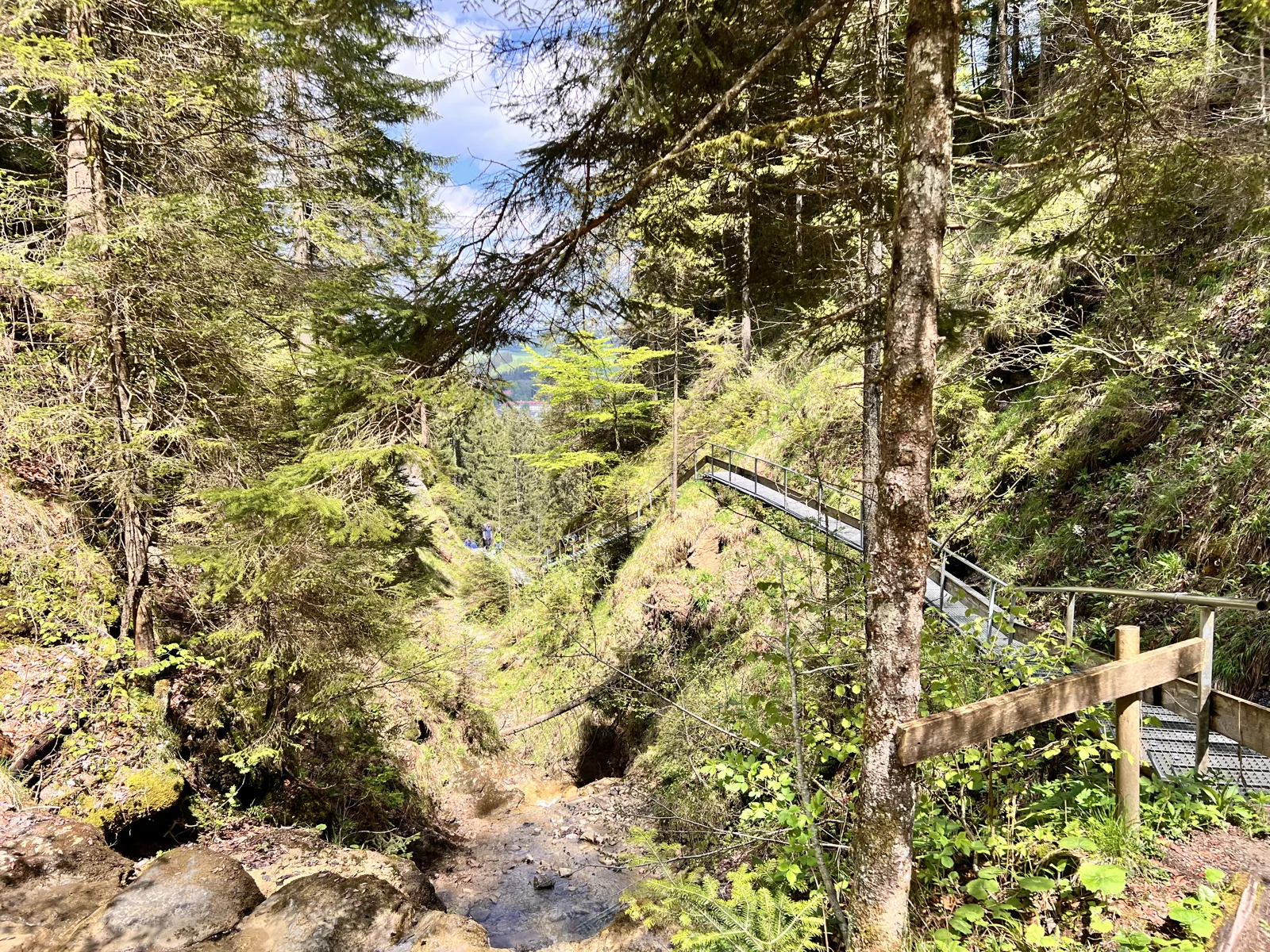 Camino forestal con escalones en el camino de la cascada.
