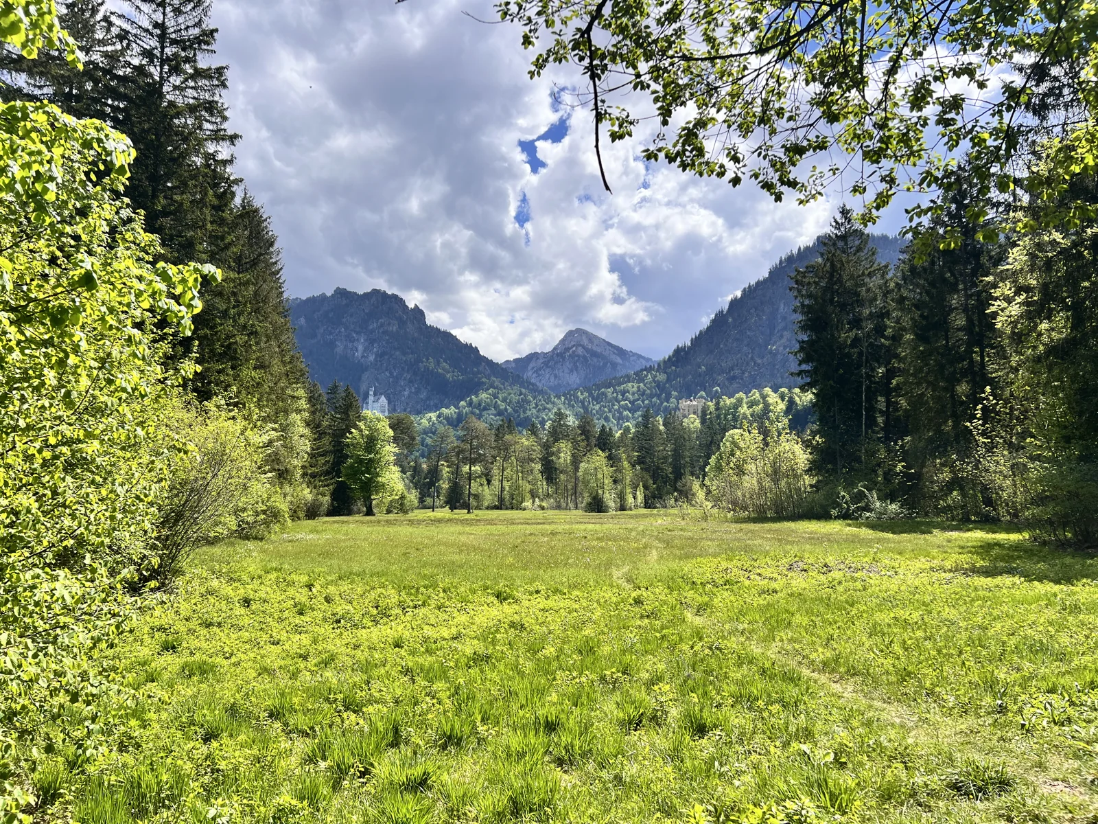 Paisaje de pradera en la zona de Alpspitz